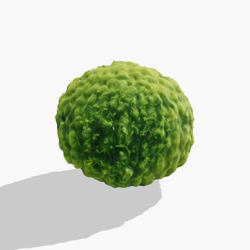 Verdant Sphere Moss model pack